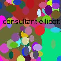 consultant ellicott internet marketing