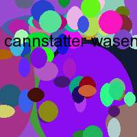 cannstatter wasen stuttgart