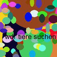 wdr tiere suchen ein zu hause